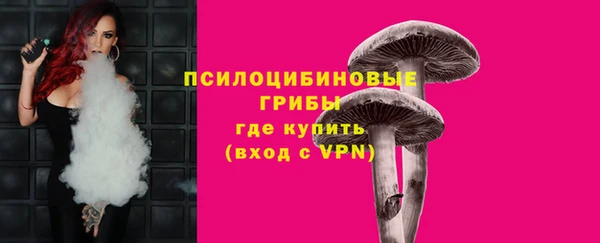 а пвп мука Алзамай