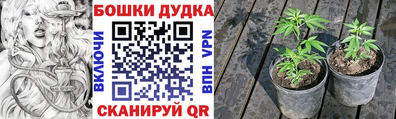 Шишки марихуана конопля Мураши