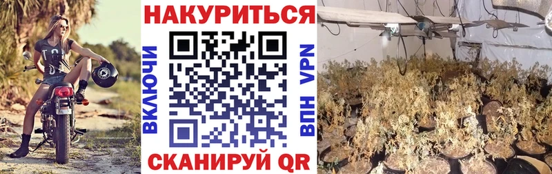 Бошки Шишки White Widow  blacksprut ссылка  Мураши 